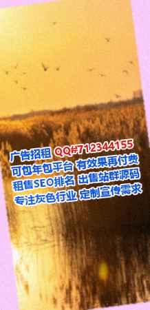 灞桥借腹生子保安公司